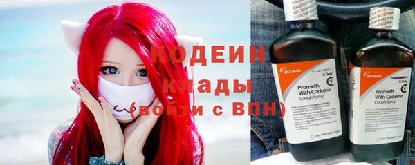 эйфоретик Богданович