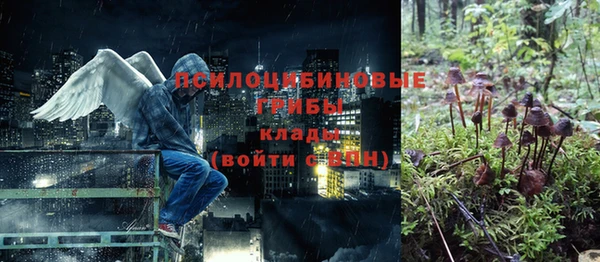 ALPHA PVP Богородск