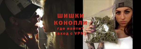 ПСИЛОЦИБИНОВЫЕ ГРИБЫ Богородицк