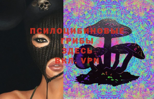 ALPHA PVP Богородск