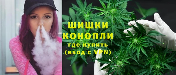 эйфоретик Богданович
