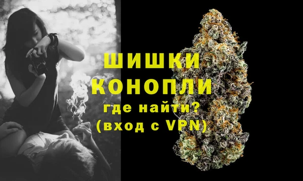 эйфоретик Богданович