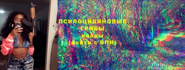 эйфоретик Богданович