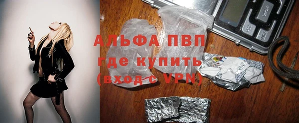 СК Беломорск